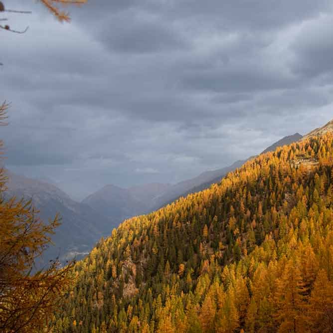 Photo de paysage pour site web réalisée par Marianne Favier, graphiste à Chamonix
illustratrice illustrateur vector vectoriel contenus community management